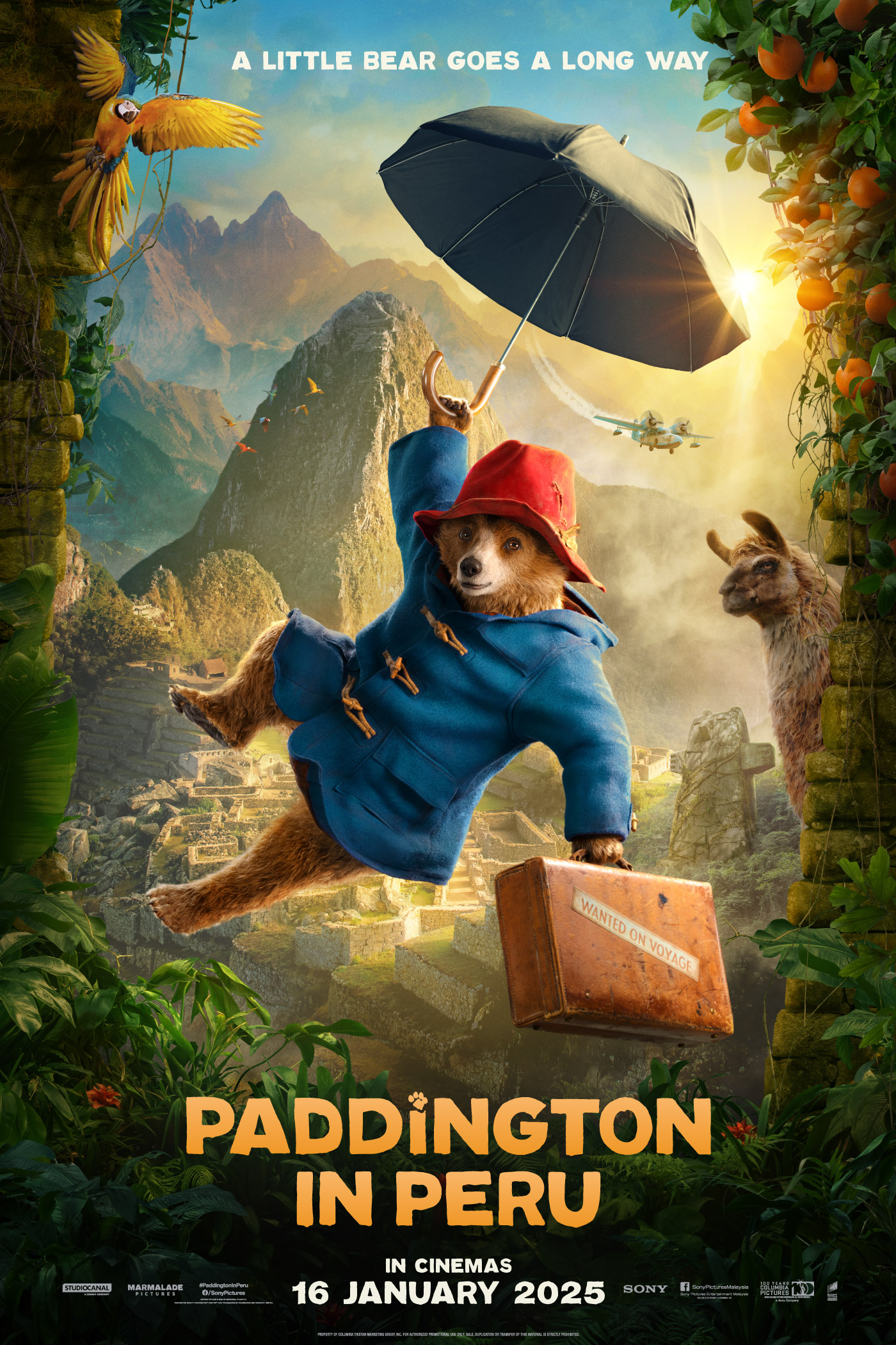 Paddington In Peru